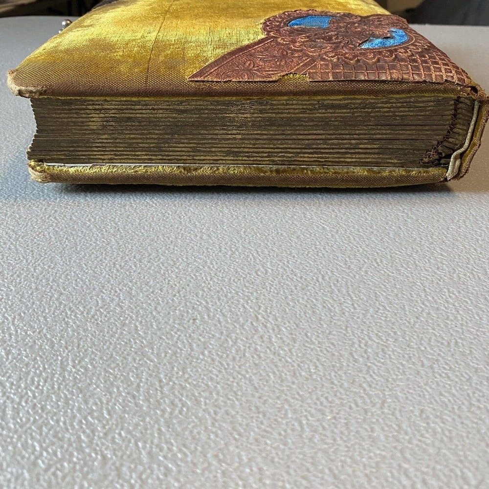 1880s ANTIQUE GREEN BLUE VELVET PHOTO CABINET CARD ALBUM METAL LATCH DATED 1884 - Picture 16 of 16
